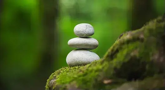 Pruebas de compatibilidad