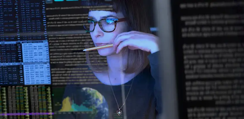 Pruebas de caja gris