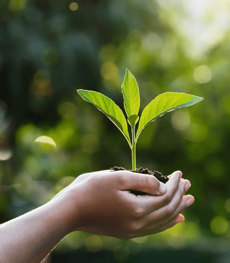 Communication strategies