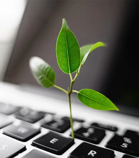 cybersecurity and sustainability