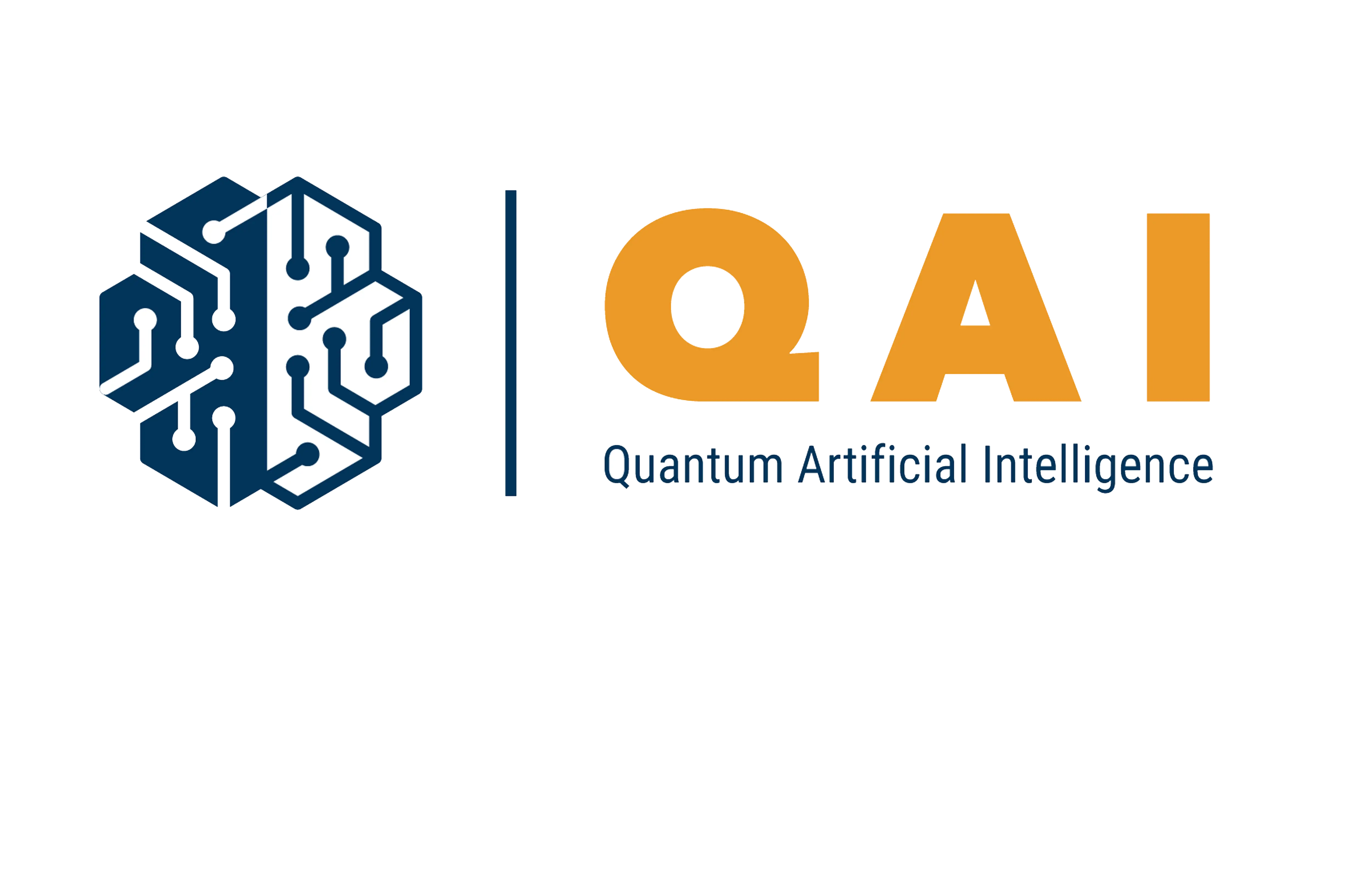 Quantum Artificial Intelligence