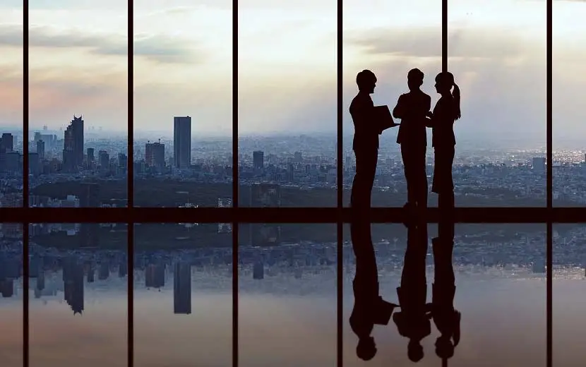 Proceso de metamorfosis