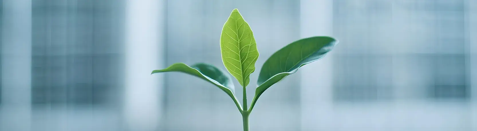 Tecnologías que impulsan nuestro valor