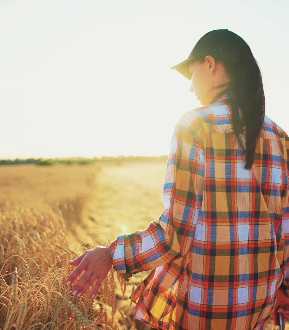 N0Waste sector agroalimentario Izertis