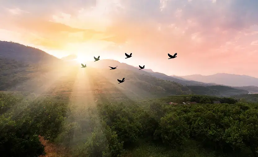 Migración a la nube