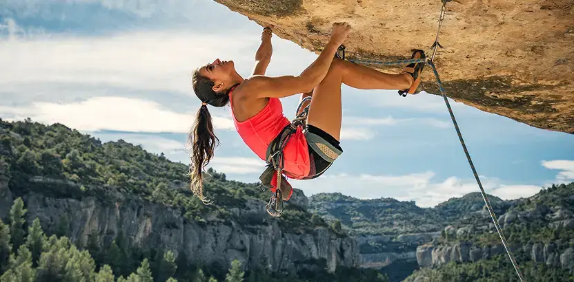 proyectos internacionales y heterogéneos