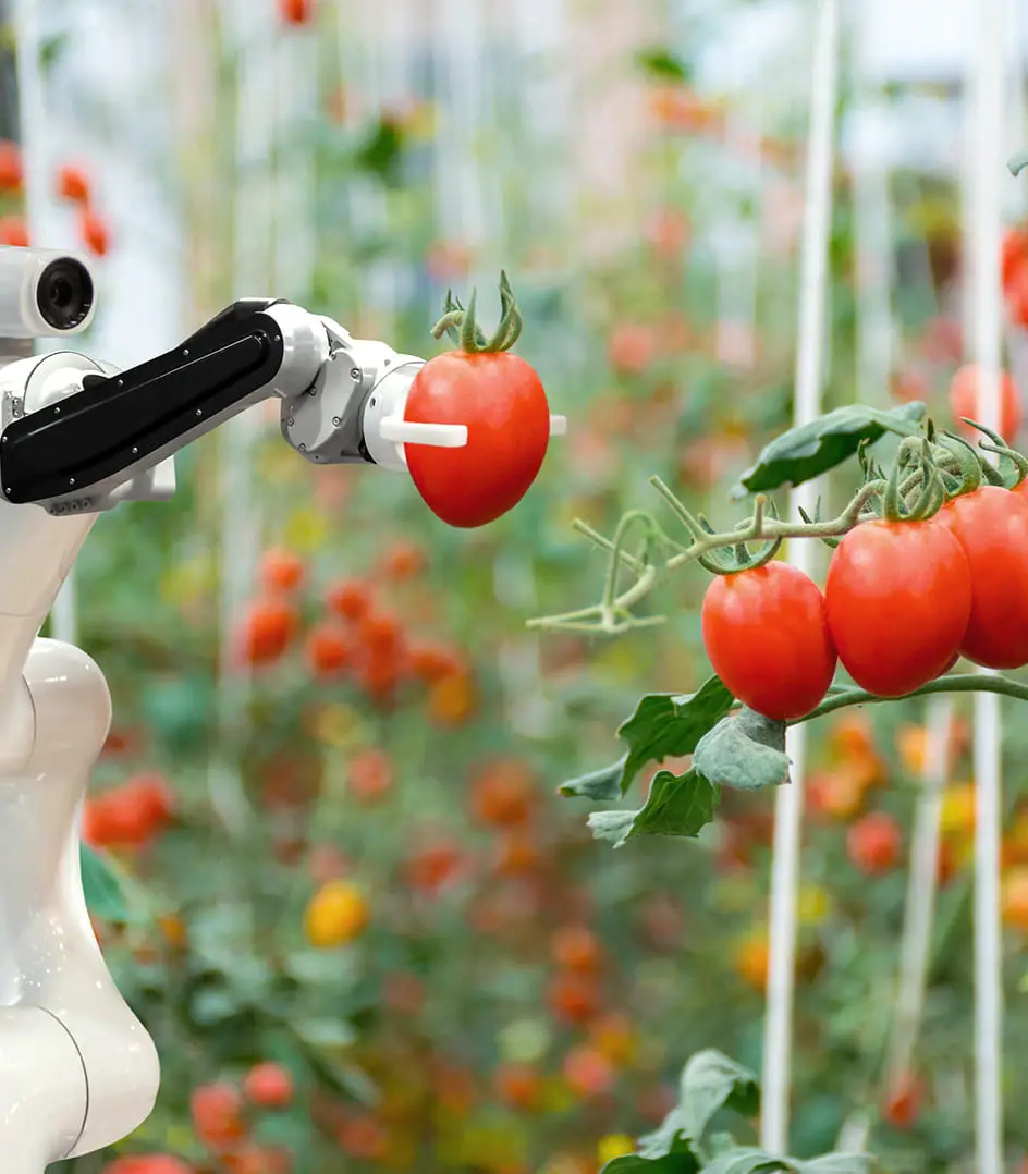 IoT and sustainability