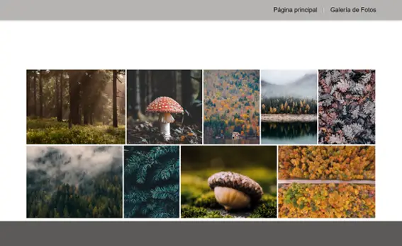 photo gallery power pages