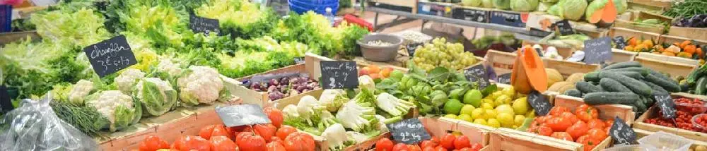 Alimentación variada y equilibrada