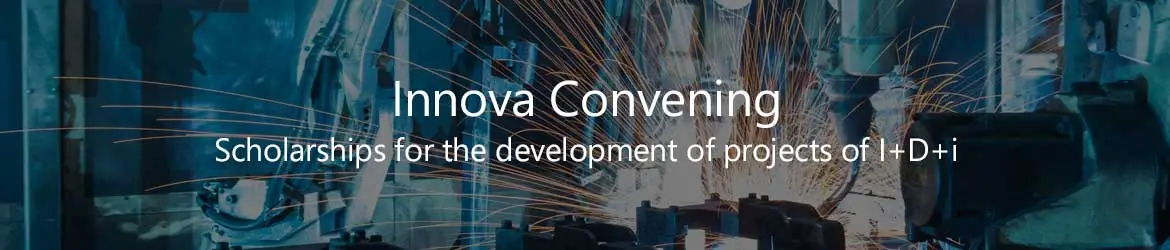 
Innova Call Subsidies for R & D + i projects