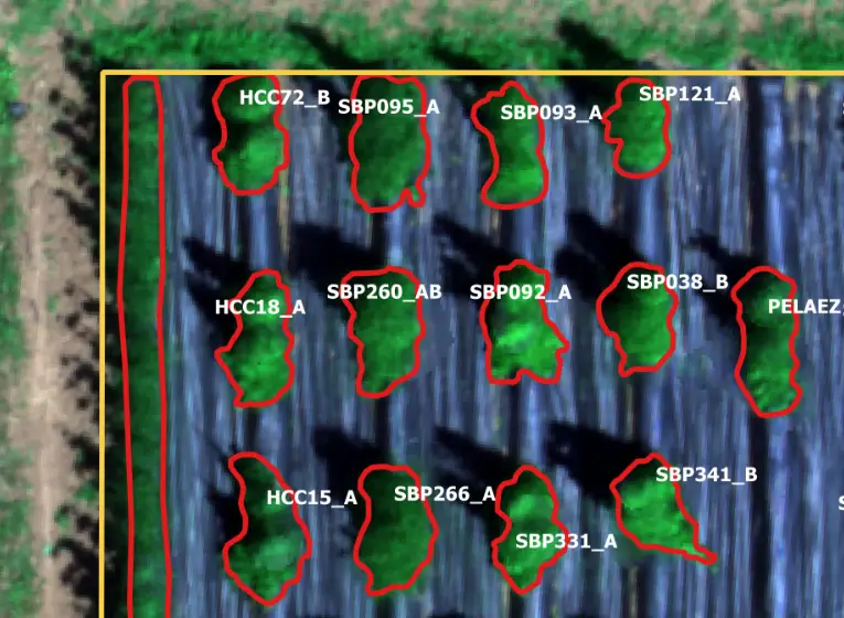 Estacion agroclimatica